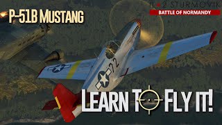 Learn to fly the P51B Mustang [upl. by Greer]