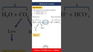 Basics of Alkalosis amp acidosis Metabolic vs Respiratory [upl. by Doley]