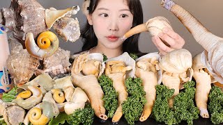 새해 복 많이 받으세요🙇‍♀️✨ 코끼리조개 참소라 숙회 먹방 Elephant Clam Shell amp Giant Turban Shell mukbang korean food [upl. by Ashley]