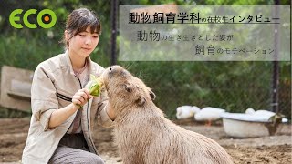 動物飼育学科の在校生にインタビュー🐾【北海道エコ動物自然専門学校】 [upl. by Durand41]