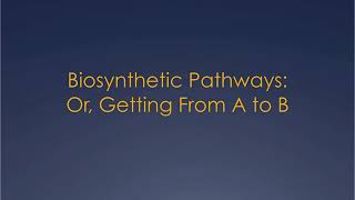 Biosynthetic pathways [upl. by Jerri]