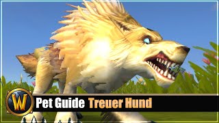 Rätsel Pet Guide Treuer Hund [upl. by Xila]