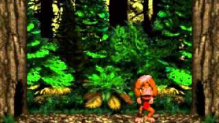 Donkey Kong Country 03  Troubles Topped By Trees [upl. by Mildred765]