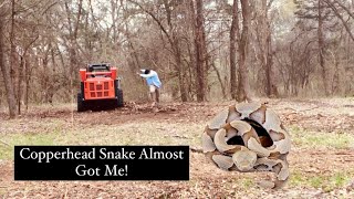 Close Call Removing Underbrush Reveals Venomous Copperhead  Kubota SVL972 and FAE Mulching Head [upl. by Dnaltiak]