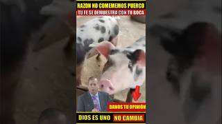 🐷 EL MISTERIO DEL CERDO EN LA BIBLIA ¿Símbolo de idolatría [upl. by Yttak]