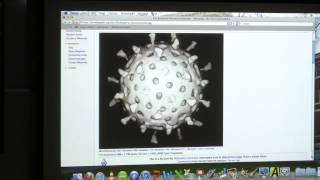 22 BB 350 Biotechnology II  Viruses I  Kevin Aherns Biochemistry Online [upl. by Ailegra]