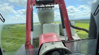 Calves Very Close To Weaning More Silage Needed 0 Bulling Heifers [upl. by Tterrej637]