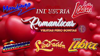 Romanticas Del Ayer Mix 💖 Industria del Amor Los Acosta Grupo Liberacion Grupo Bryndis 💖 [upl. by Aeriela765]