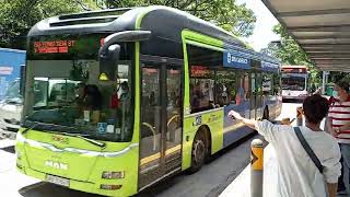 Ad🟪SBS Transit MAN A22 Euro 5 Batch 2 SMB3052R on Service 851 outside Tiong Bahru StationPlaza [upl. by Vasiliu]