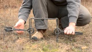 Fur Trapping  How to set a Conibear Trap [upl. by Mchenry]