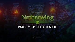 Netherwing Patch 23 Release Teaser [upl. by Light]