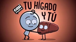 Tu hígado y tú  Casi Creativo [upl. by Oiled952]