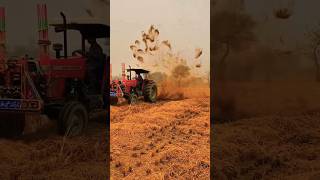 Kamal ka Jaghar lagia Messay Ferguson tractor wale ne shorts short tractorsvlog messayferguson [upl. by Suraved214]