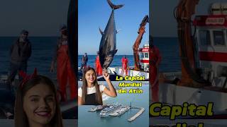 Conoce Las 7 Maravillas de Manta una Ciudad de ecuador travel tour tourism playa vacaciones [upl. by Keiryt655]