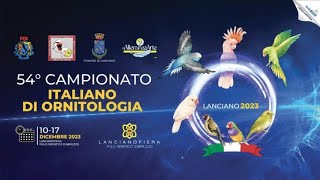 Canary Team  54° Campionato Italiano di Ornitologia  Lanciano 2023 [upl. by Sikleb]