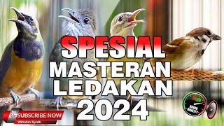 MASTERAN SPESIAL LEDAKAN 2024 KOMPILASI MEWAH UNTUK SEMUA JENIS BURUNG MURAI BATU DAN CUCAK IJO [upl. by Ramed]