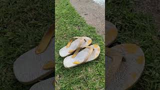 Pemandangan pinggir kali 1billionviews minivlog nature [upl. by Airla]