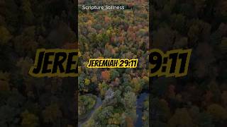 Plans to Prosper Jeremiah 2911 scripture scripturereading biblepassage ￼ inspirationalquotes [upl. by Chad]