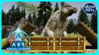 ASA Megatherium Trap  How to Build a Megatherium Trap  ARK Survival Ascended [upl. by Hildagarde]