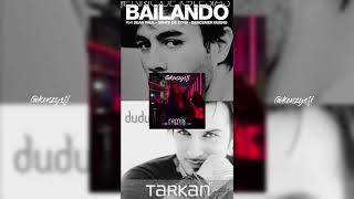 Bailando amp Dudu Tarkan ft Enrique Remix Audio [upl. by Weinshienk540]