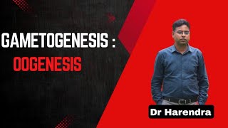 Gametogenesis  Oogenesis  Human Reproduction  DR HARENDRA [upl. by Bat]