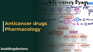 Anticancer drugs pharmacology  anticancer drugs [upl. by Ahras259]