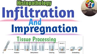 Infiltration And Impregnation in Hindi ll Tissue Processing ll Histopathology [upl. by Sibeal634]