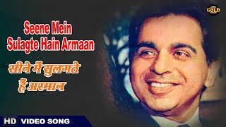 Seene Mein Sulagte Hain Armaan  Lata Mangeshkar Talat Mahmood  Tarana  Dilip Kumar Madhubala [upl. by Devondra]