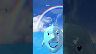 Filter name talking dolphin memes scream funny [upl. by Keefer135]