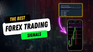 The BEST Forex Signals Group in 2024  WATCH NOW FOR PROOF [upl. by Augustina78]