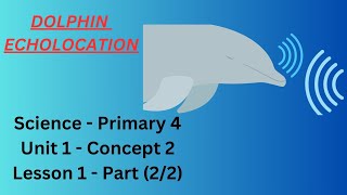 Science Primary 4  Unit 1  Concept 2  Lesson 1 Echolocation [upl. by Annaierb96]