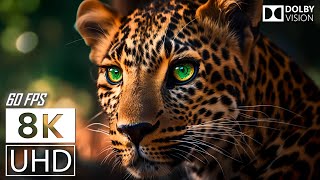 TOP 10 • THE GREAT HUNTER  4K UHD 60FPS DOLBY VISION  TRUE CINEMATIC [upl. by Acacia]