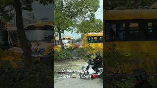 Yellow color School buses 🚌 in China 🇨🇳 中国的黄色校车 [upl. by Gewirtz]