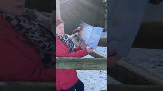 Lost in the snow read by Mrs Hammond [upl. by Adamsun565]