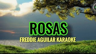 ROSAS KARAOKE [upl. by Airdnala]