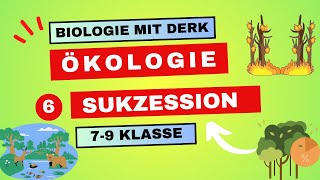 Ökologie  6  Sukzession  7  9 Klasse [upl. by Chatwin]