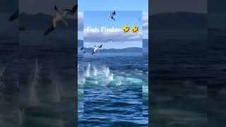 Fish Finder 😀😀 [upl. by Carleen]