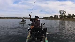 LiveScope fishing for Crappie at Lake Camanche Insta360 x3 [upl. by Aeel]