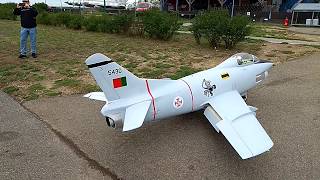 RC Jet Pirotti Fiat G91 quotGinaquot 133 in Modelcity CZ [upl. by Festatus415]