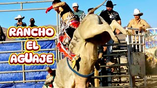 ¡¡RANCHO EL AGUAJE CON SU TORO G63 EN RENO NEVADA 🧨🧨🧨🔥🔥🔥 [upl. by Morton]