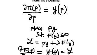 Lab 35 Hotellings Lemma [upl. by Eillehs]