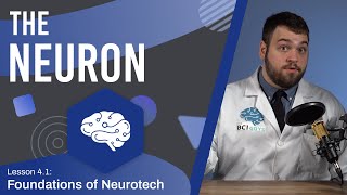 The Neuron  Structure and Function  Neuroscience  Lesson 42 [upl. by Maller989]