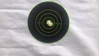 200 yards 1861 Springfield musket rifle 58 cal [upl. by Ttenneb]