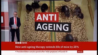 Scientists discover antiageing holy grail that can stop cancer and grey hair in its tracks Global [upl. by Boy19]