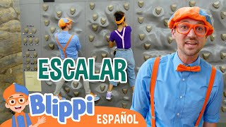 Escalamos con Blippi y Meekah 😊  Blippi Español  Videos educativos para niños  Aprende y Juega [upl. by Nelac]