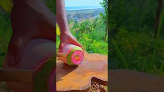 Natures Rare Gem Pink Coconuts 🥥😱 [upl. by Cirted262]