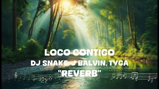 DJ Snake J Balvin Tyga  Loco Contigo Reverb Lyrics [upl. by Widera]