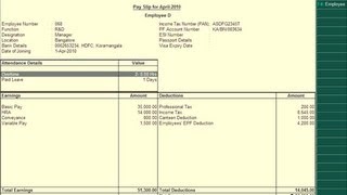 How to Create Payslip in TallyERP 9 [upl. by Egidius]