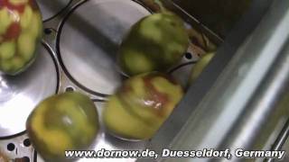 DORNOW Mango Peeling Machine Mango Schälmaschine [upl. by Karen811]