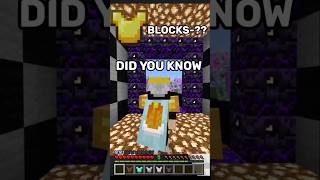 Magma vs all Armor chestplate minecraft shorts gaming [upl. by Elyr]